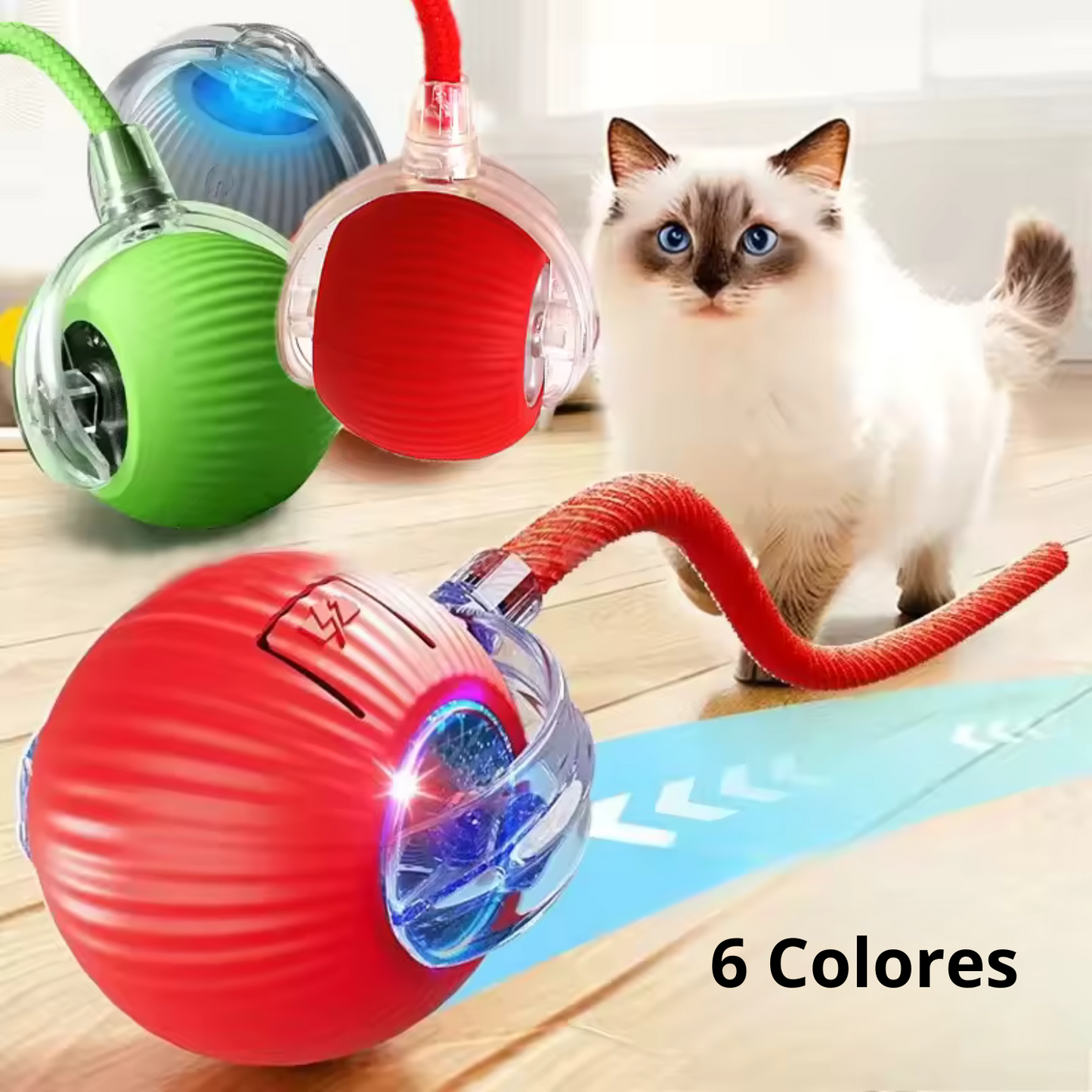 CatRoller